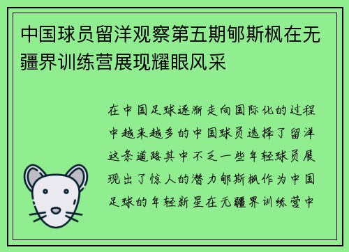 中国球员留洋观察第五期郇斯枫在无疆界训练营展现耀眼风采
